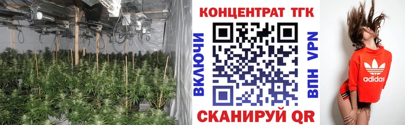 закладка  Златоуст  ТГК гашишное масло 