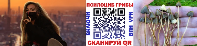 Галлюциногенные грибы GOLDEN TEACHER  как найти закладки  Златоуст 