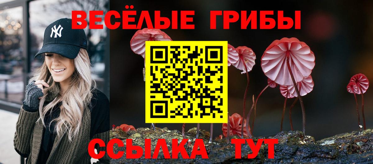 Галлюциногенные грибы ЛСД  Вход с VPN  Галлюциногенные грибы GOLDEN TEACHER  Златоуст 